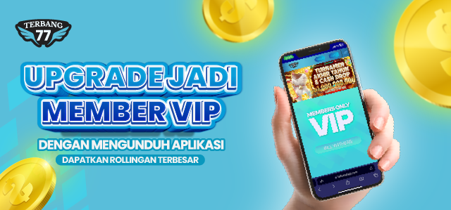 MEMBER VIP